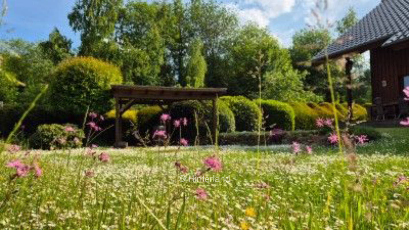 Glühwürmchenwiese am Wald