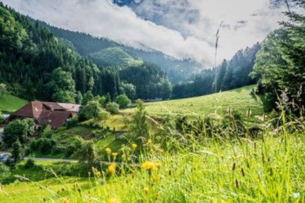 Campen im Schwarzwald auf dem Reiterhof mit Sauna