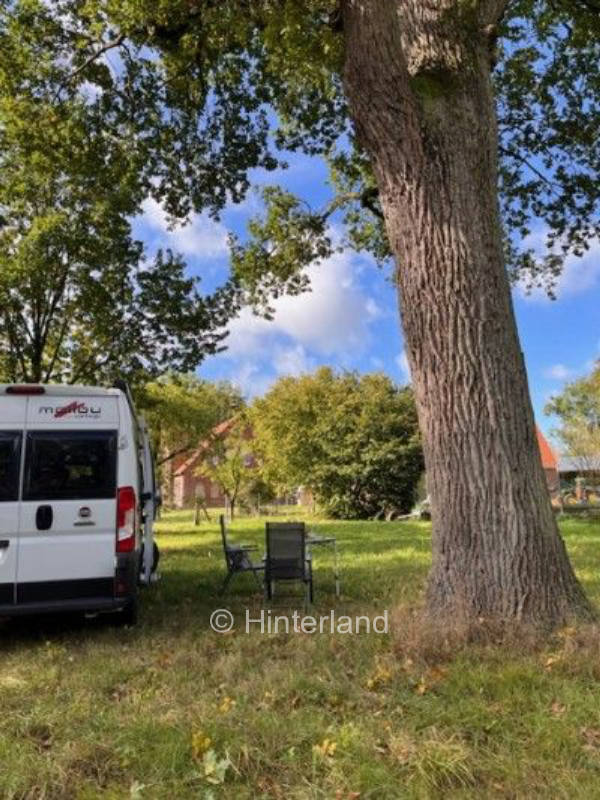 In der Heide zwischen Schafen und Gemüsebeet