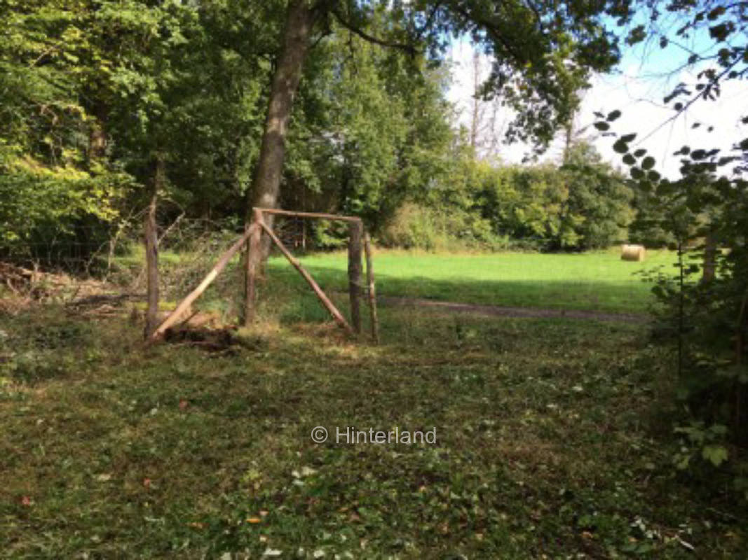 Kraft tanken am Waldsee