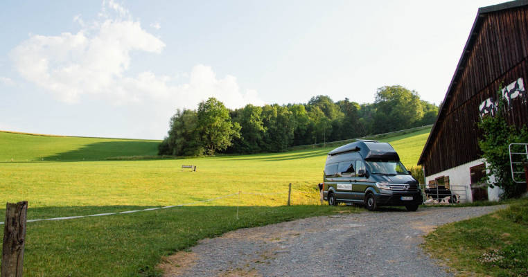 Wiese beim Rinderstall