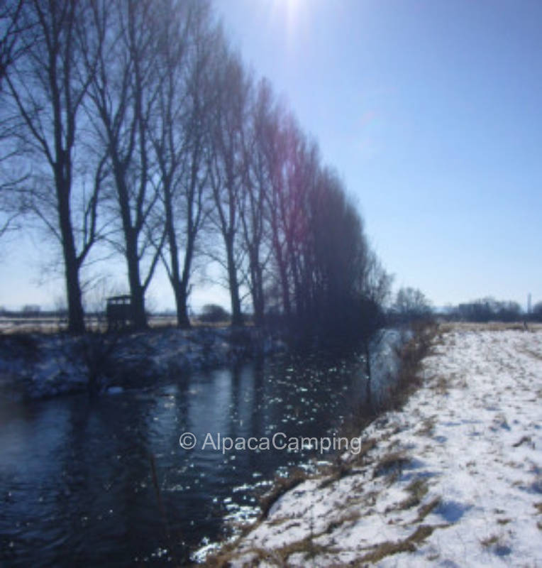In der Natur mit Blick auf Weiden, Wald und Harz #2