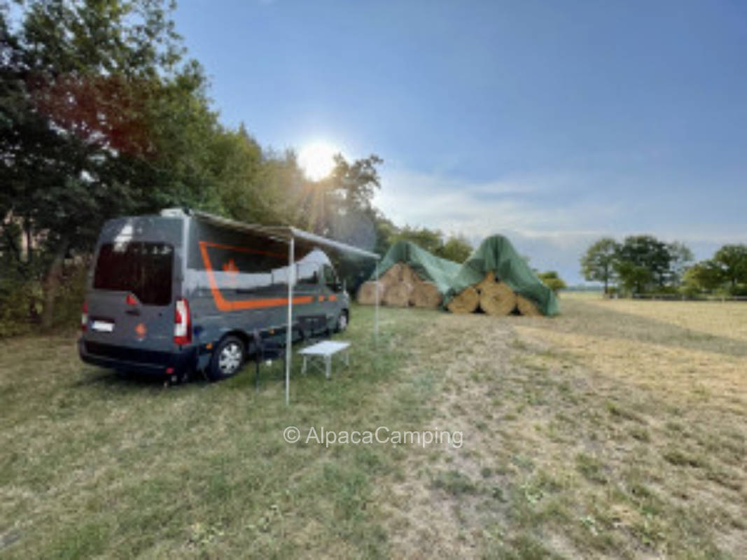 To the jaunty Heinz #2