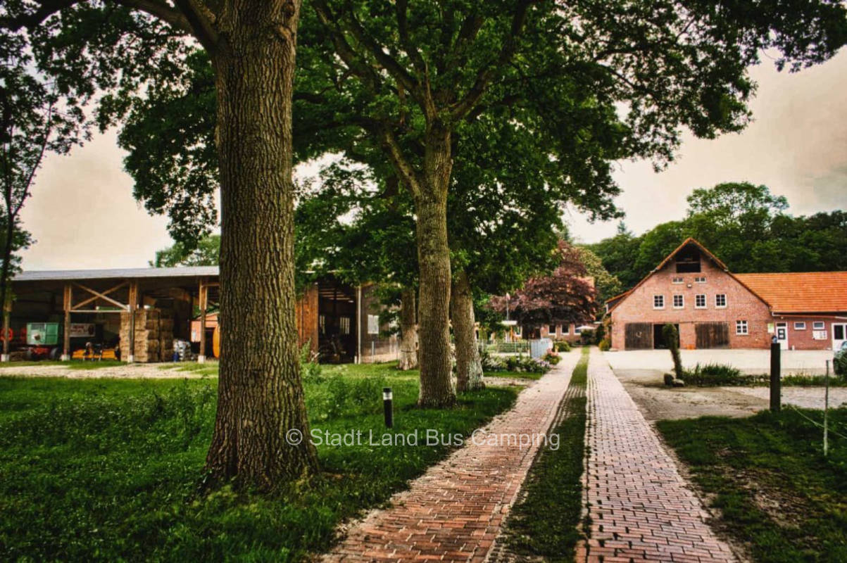 Gut Altenoythe – Apfelweide 2