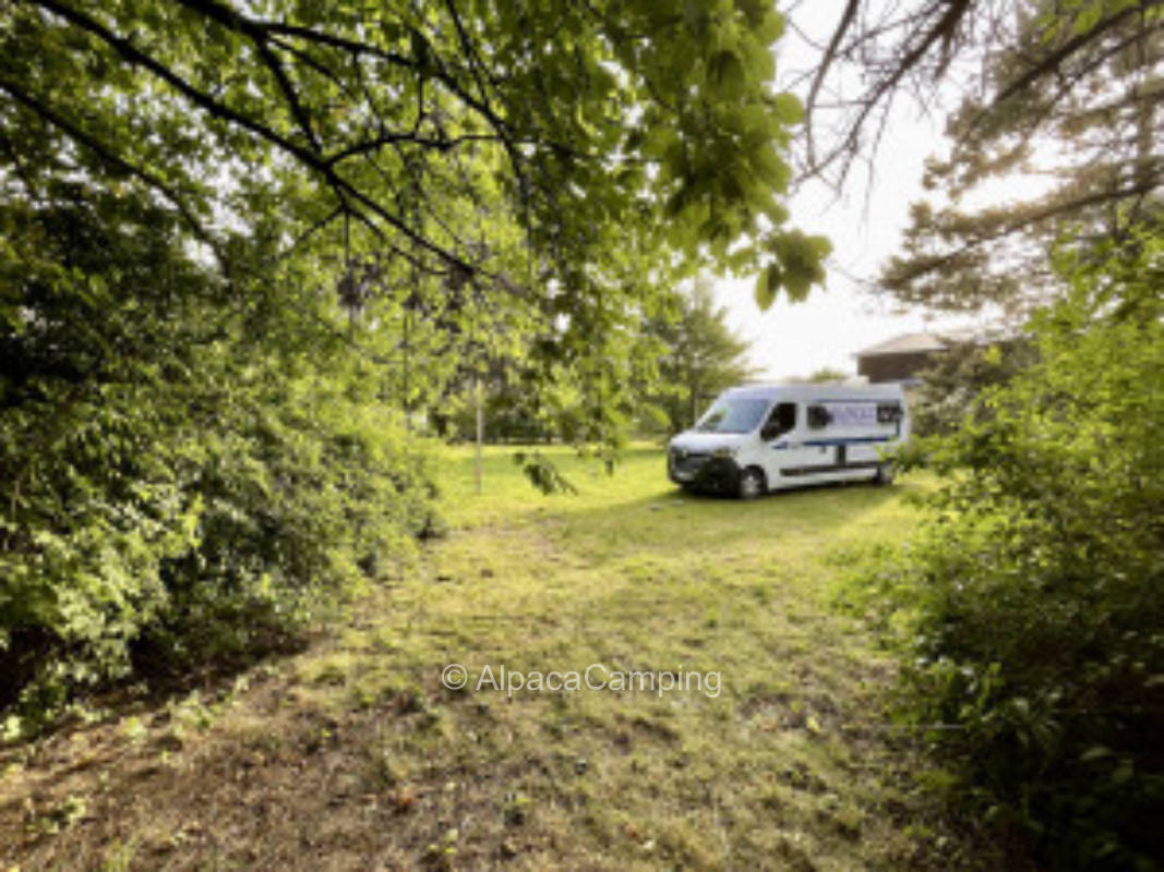 Vision in Saxon Switzerland #2