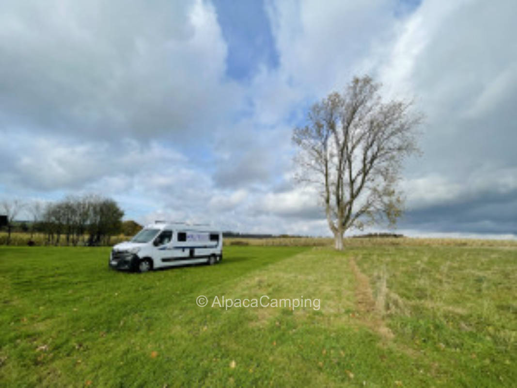 Resettlement farm #1