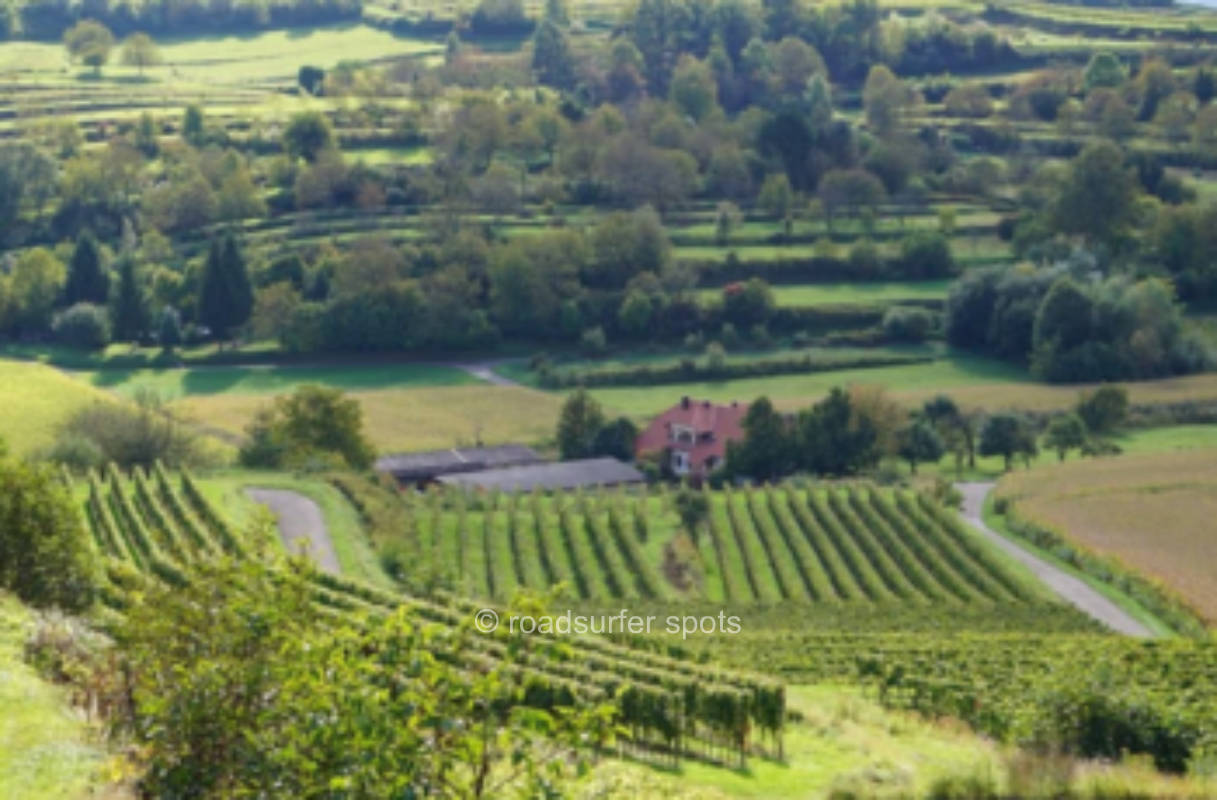 Camping am Winzerhof Hildwein