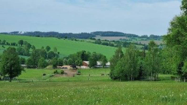 Parking space at riding farm in the Ore Mountains
