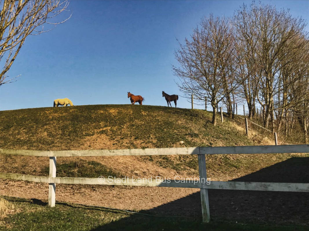 Mecklenburger Land Stellplatz 3