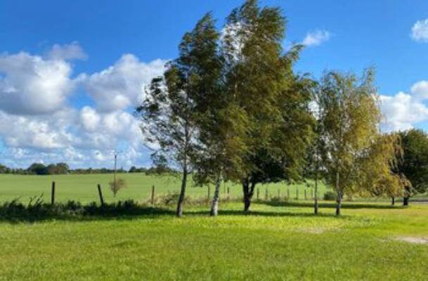 Dreamlike natural property close to water