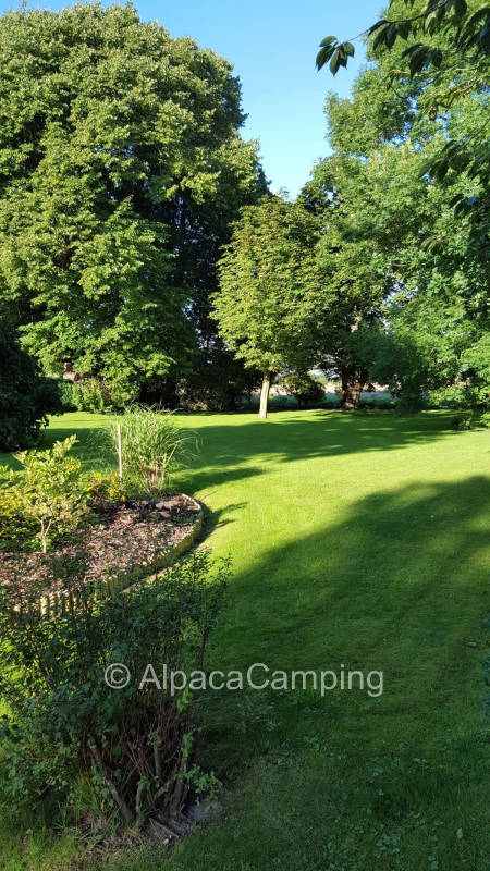 In the cottage garden with old trees