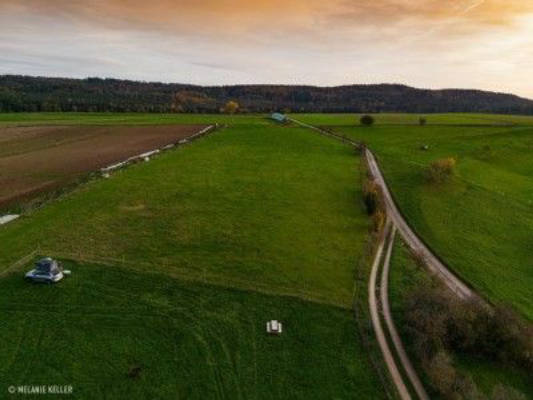 Wiesenstellplätze auf Bio-Bauernhof