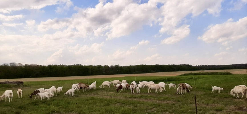 Wohnwagen & Wohnmobilstellplatz in Zerbst/Anhalt