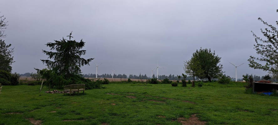Pitch on a meadow (Campspace 8621)