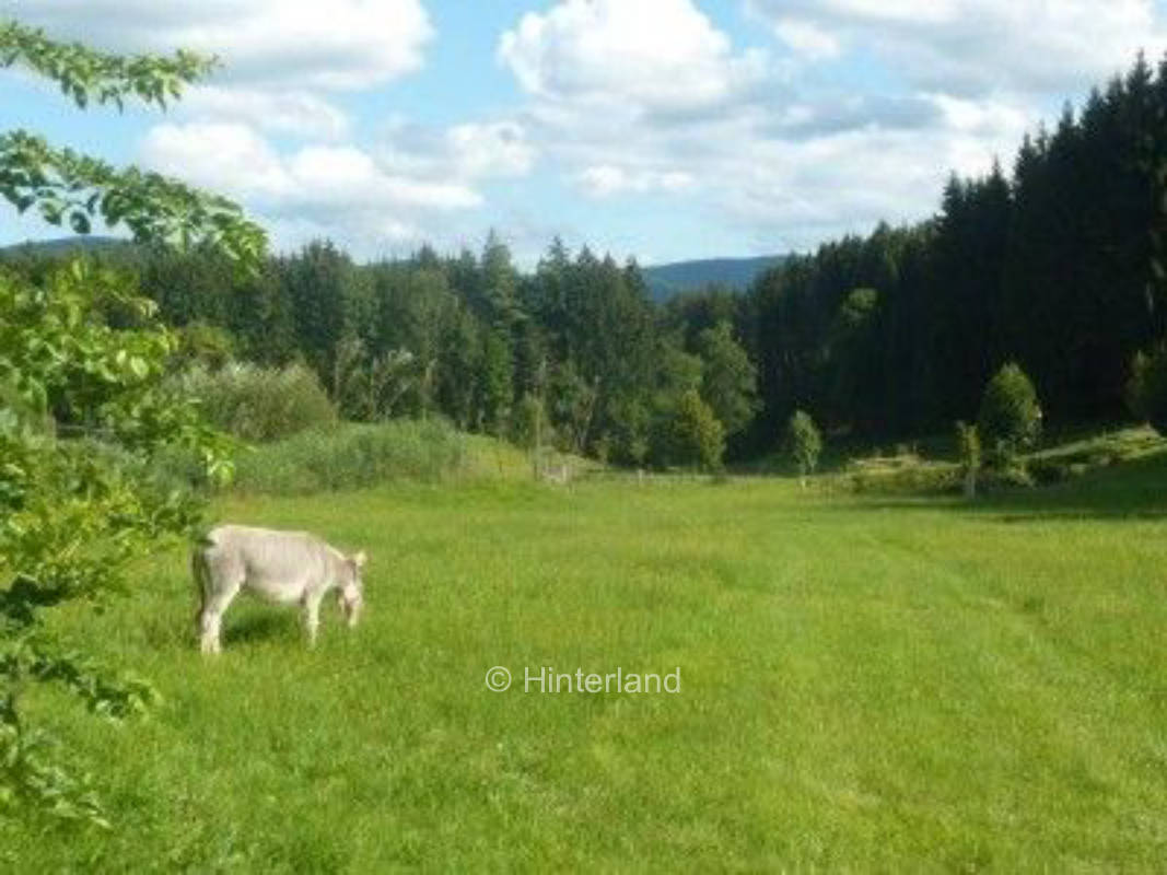 Platz 1 Hofwiese ...... Zeit für das Wesentliche  