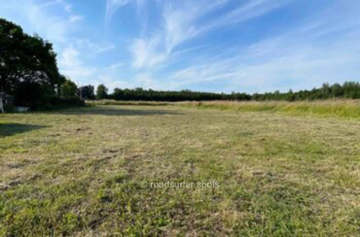 Wiese umgeben von Feldern in den Rheinauen