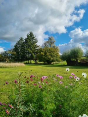 Naturcamping zwischen Wäldern und Seen 