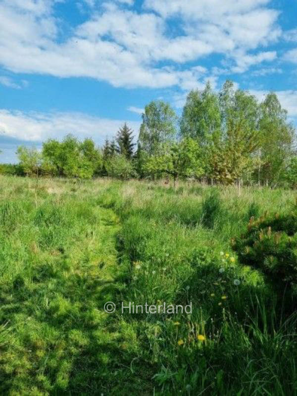 Urlaub am Fluß in Niederschlesien 