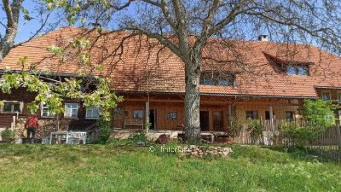 Campen im Südschwarzwald mit Alpenblick