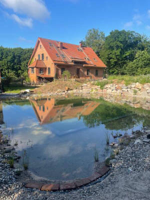 Camping with swimming pond directly by the forest