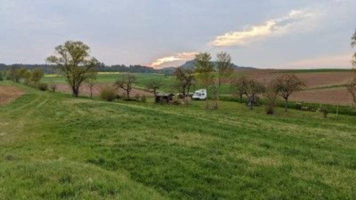 Quiet fruit tree plot surrounded by fields