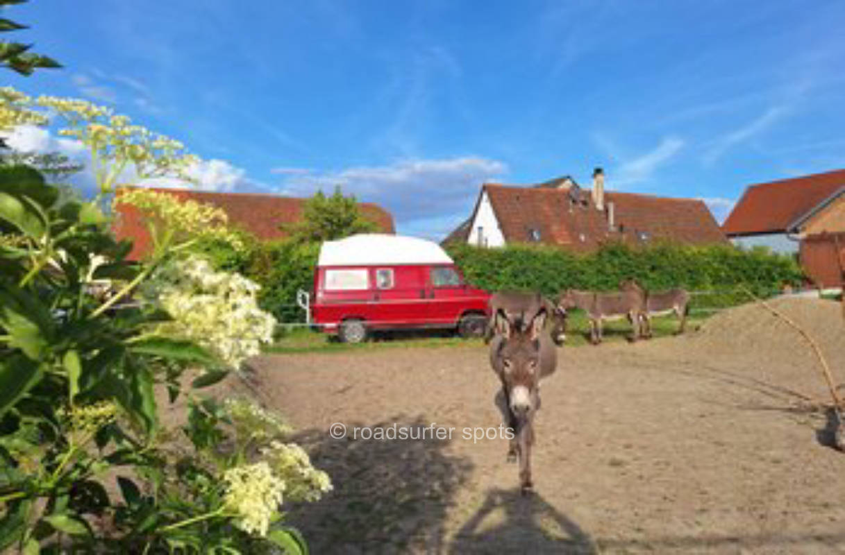Camping auf dem Eselhof
