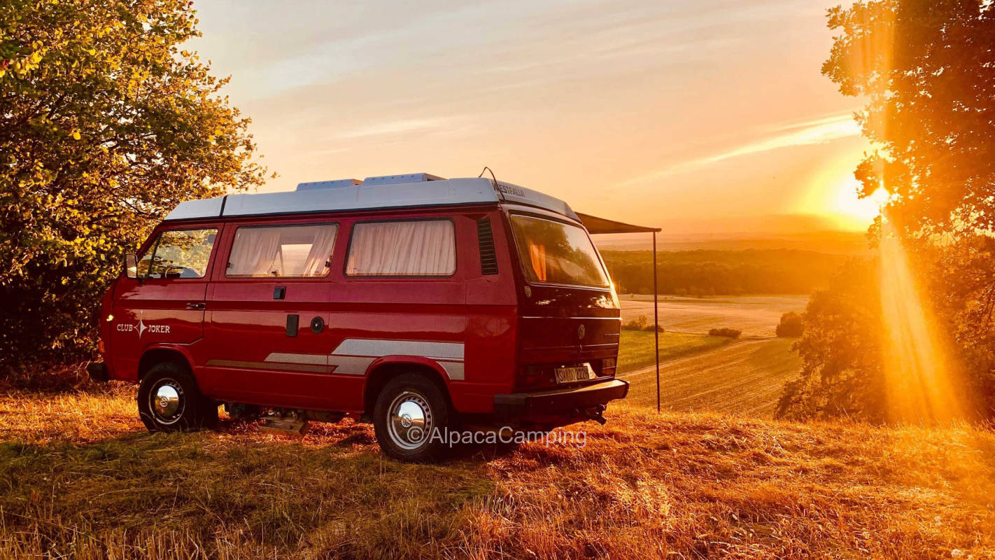 Only 4x4 or tent! - High up in the vineyard: Alone location with a far view over the Main (river).