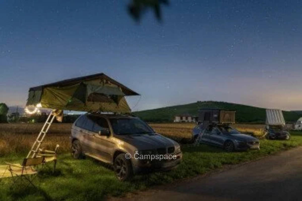 Weingut mit Weitblick in Rheintal