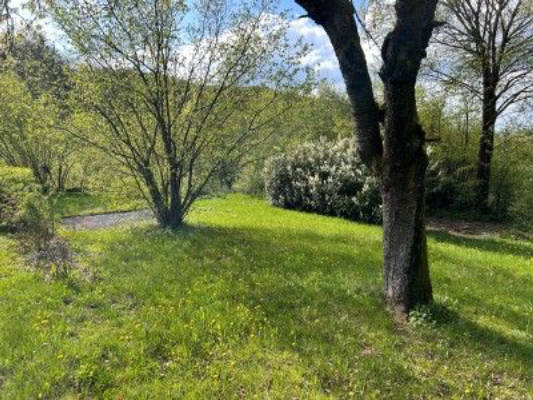 Camping in Franconia's Switzerland Private site on 1800 sqm
