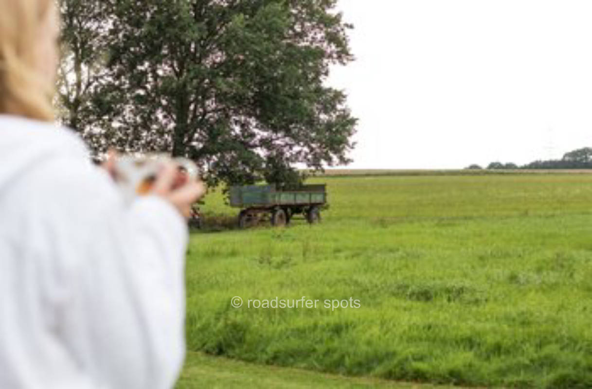 Meadow in the middle of the nature of Lower Saxony