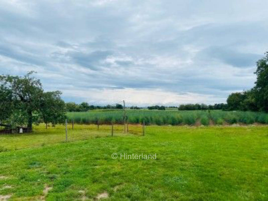 Übernachten am Weingut 