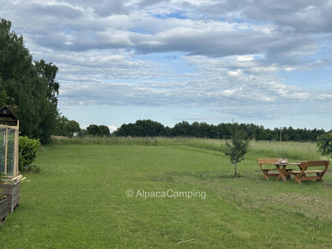 AlpacaCamping 2343