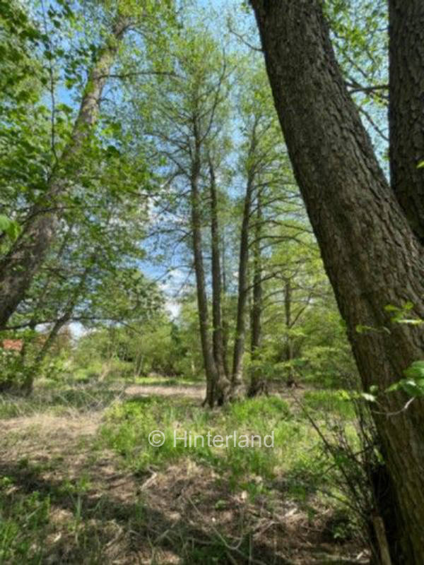 Campen in Potsdam - Naturnah am Jubelitzsee
