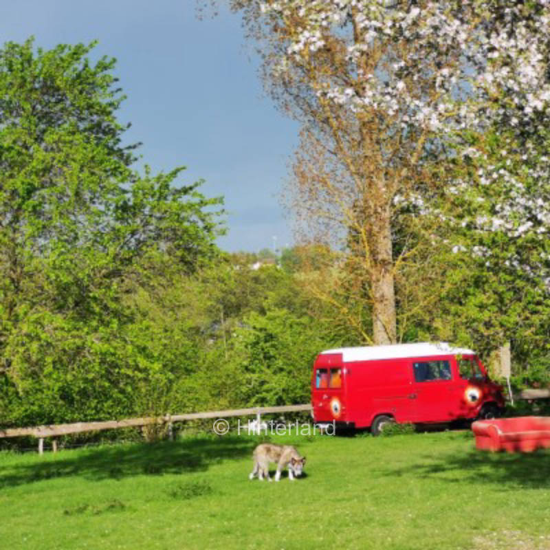 Gnadenbrothof - Oasis in the middle of nature & animals