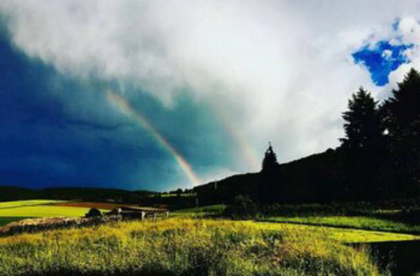Auf dem Kleinfeld, Natur pur und Ruhe 