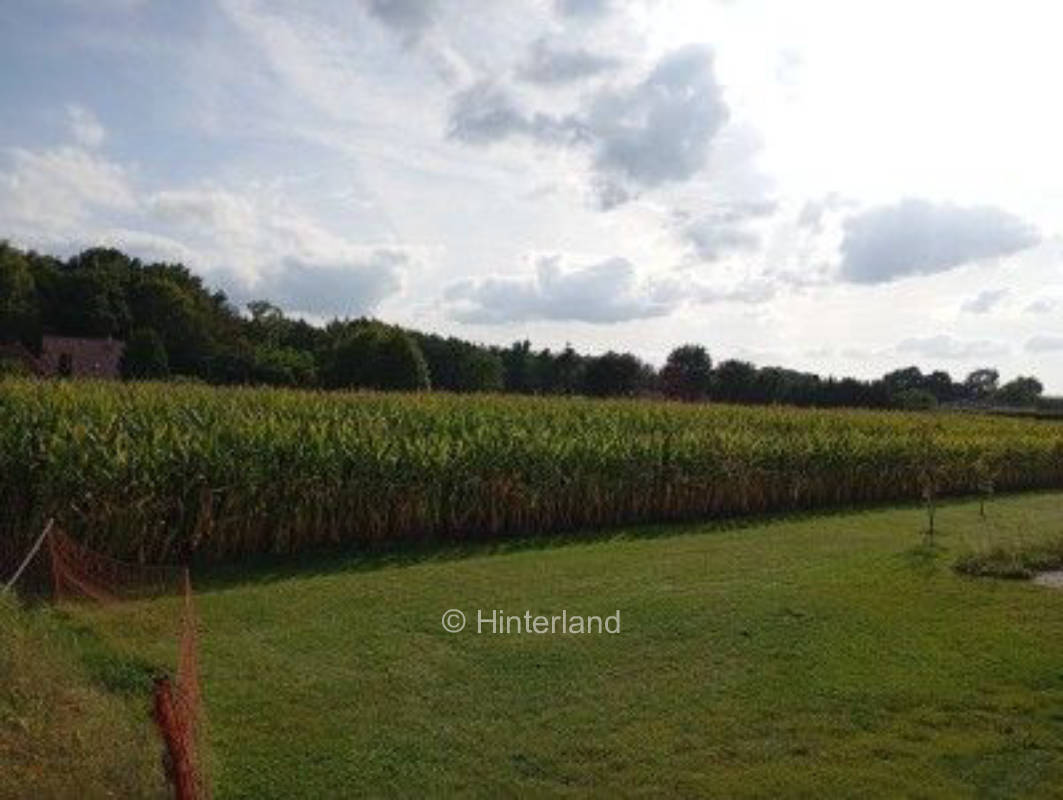 Sonnenschein, auch wenn's regnet!