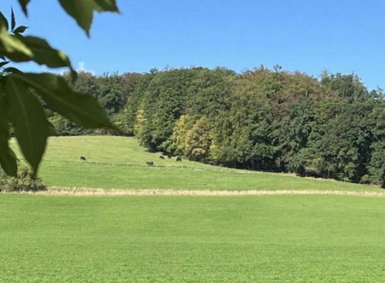 Campspace in Haunetal, Hessen