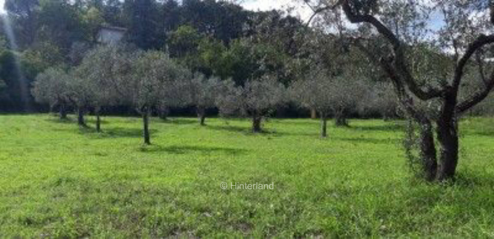 Camping Borgo Agna