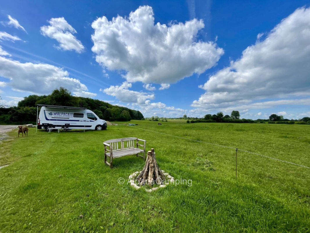 AlpacaCamping 1088