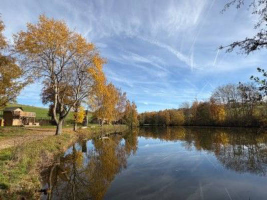 Lake Camping in the Hunsrück: Natural Idyll on the Water