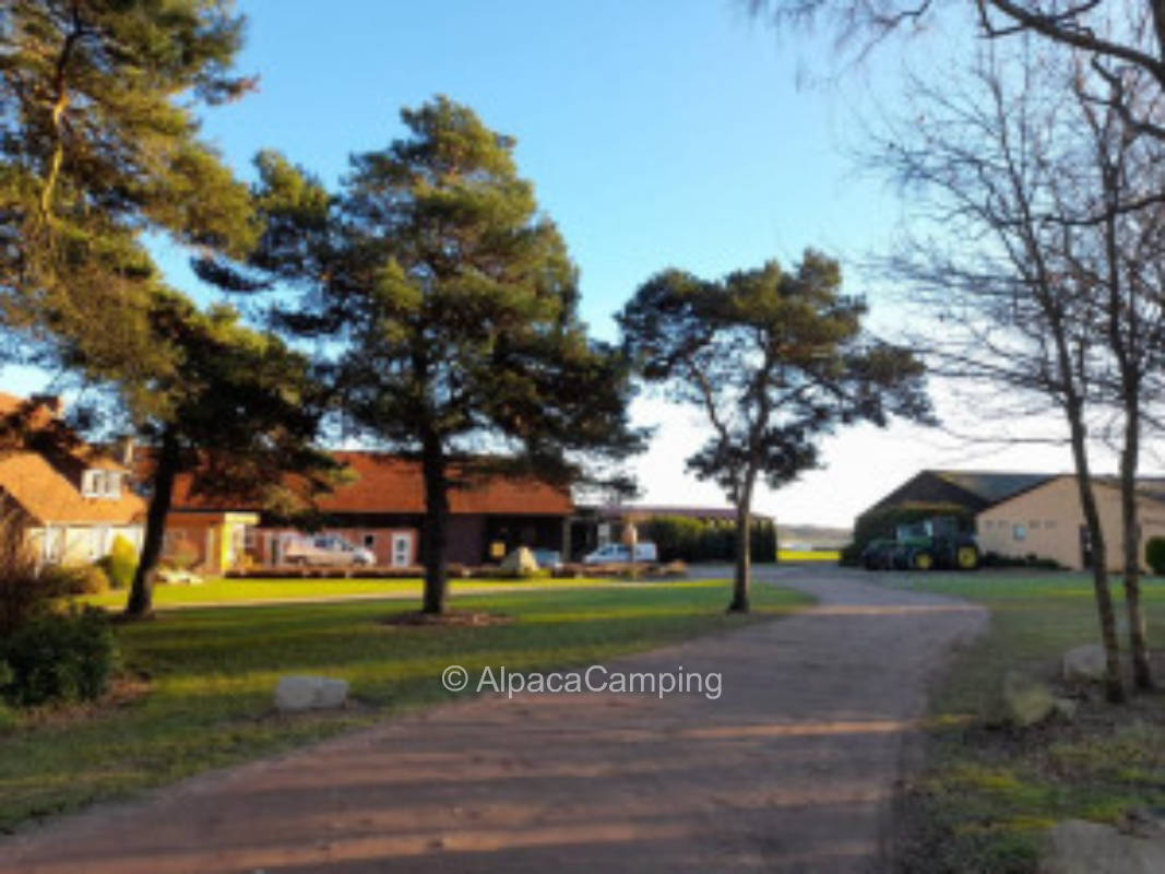 At the pines #2