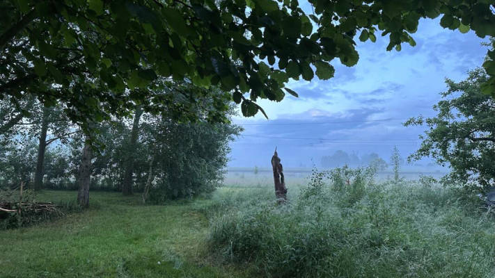 Forest Pitch (Campspace 13718)