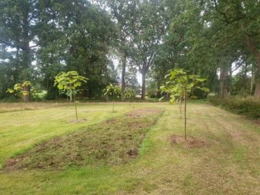 Camp in Ostfriesland bei Kalle, dem Eichhörnchen