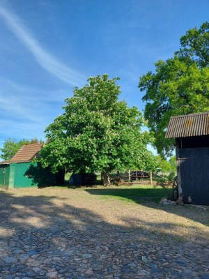 Entspannen auf der Ranch mit Blick ins Schwingetal