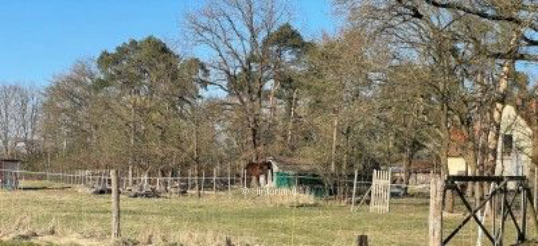 Autark campen in Wedemark auf der Pferdeweide