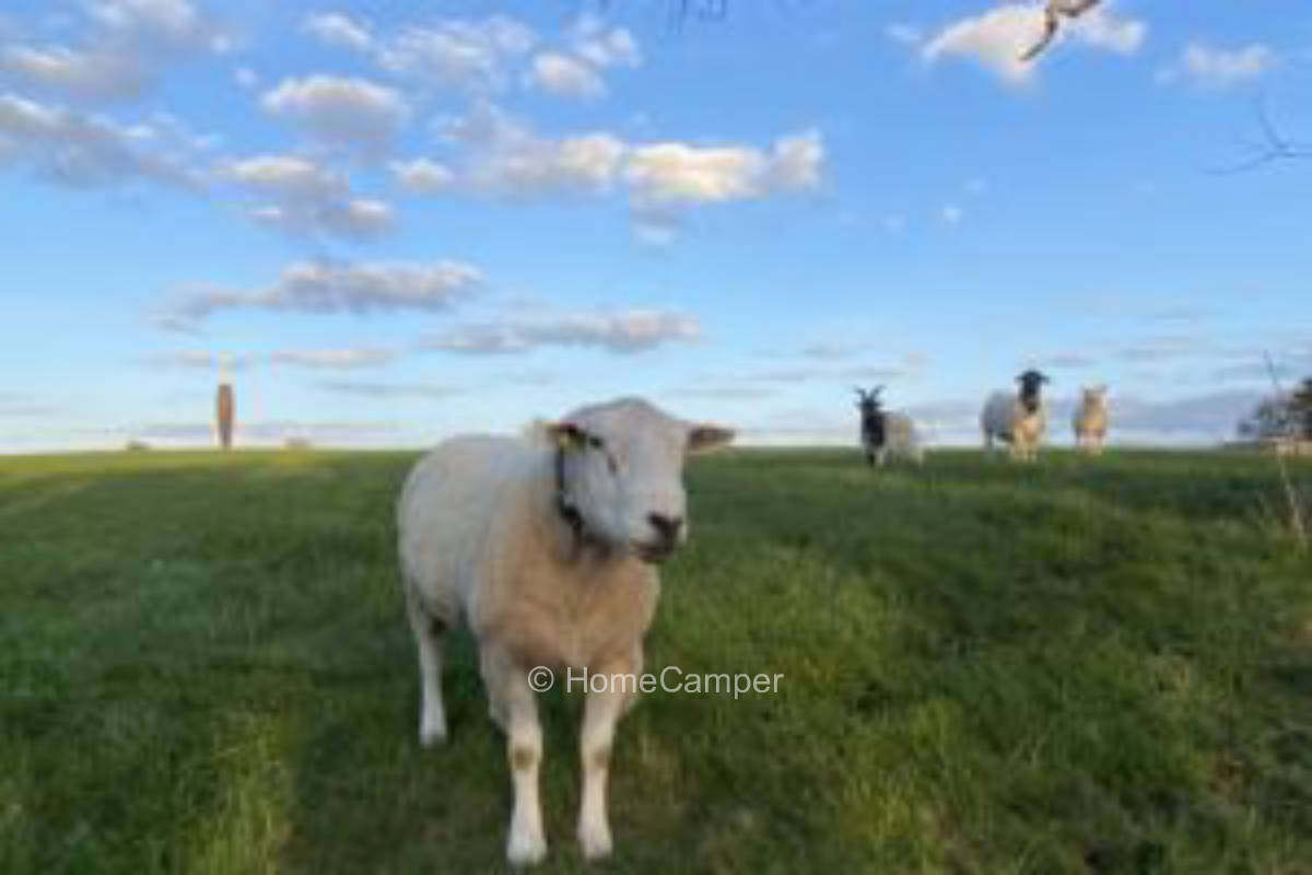 Private place in Peenehagen