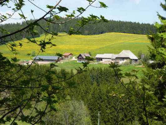 Farnbauernhof