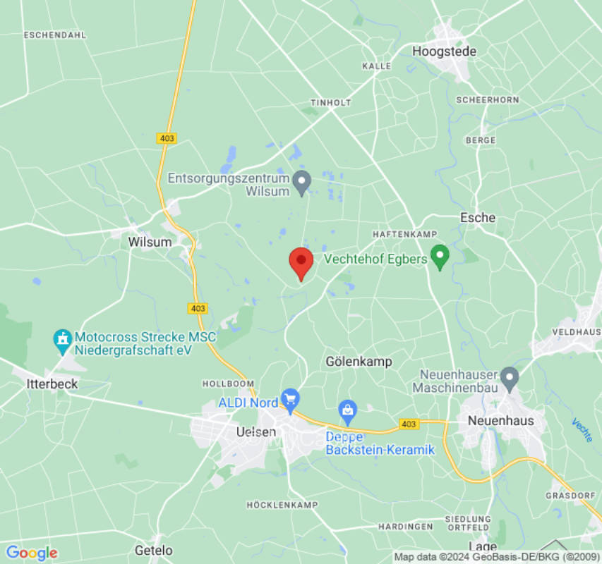 Kleine Weide unter Bäumen.