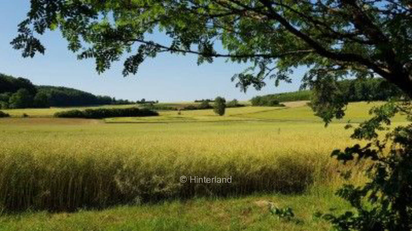 Förstlich campieren in der Fränkischen Schweiz