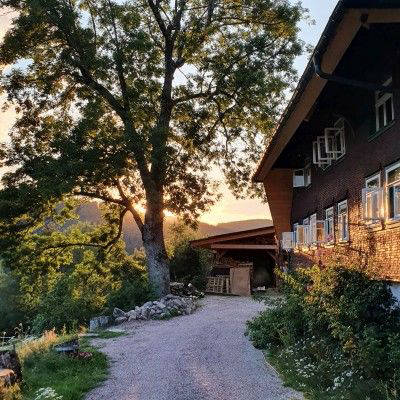 Schwarzwald pur: Alleinlage mit toller Aussicht